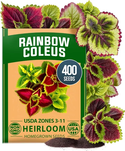 Vista 25 de HOME GROWN Semillas de zinnia rosa – 300 zinnias Luminosa 0.5g, semillas anuales de flores fáciles de cultivar para plantar al aire libre para 2026