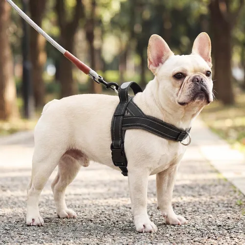 Vista 8 de Arnés para perro sin tirón con asa, chaleco reflectante ajustable Corgi, arnés para mascotas acolchado con malla de aire transpirable con clip