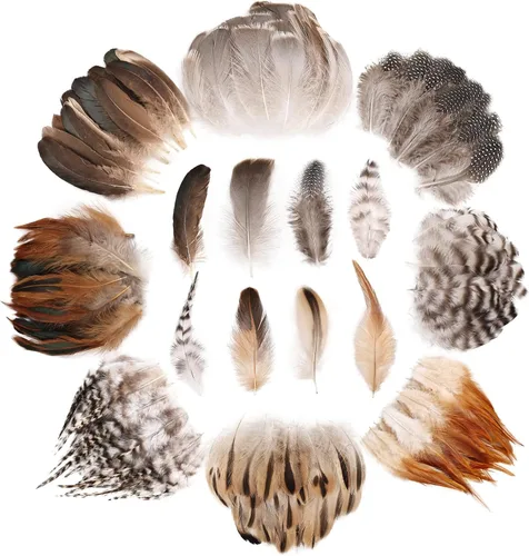 Vista 8 de SendyFeather 200 plumas naturales de 10 estilos surtidos de plumas para atrapasueños, manualidades, decoración de bricolaje