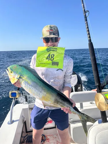 Vista 8 de Lobo Lures Micro-Typhoon UV 5 "Mahi Tuna Ahi Señuelo Trolling Señuelo Big Game