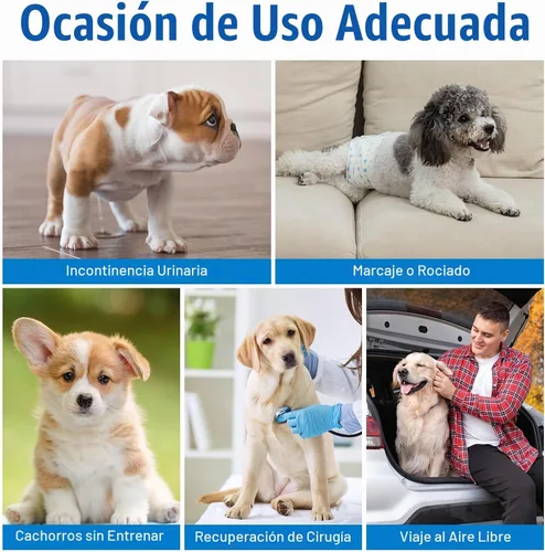 Vista 6 de Pañales Pet Soft para perro, desechables, para perros macho, xs