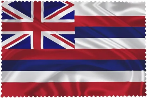 Vista 8 de Rectangular Placemats Set of 4, Heat Resistant Flag of Hawaii American Printed Kitchen Dining Table Mats