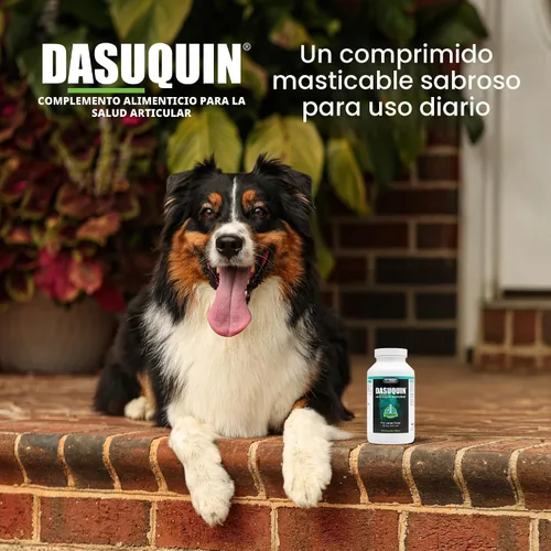 Vista 4 de Comprimidos masticables para articulaciones de perro Dasaquin (150 unidades) Tamaño de perro: Grande (60+ lbs) Glucosamine and Chondroitin, ASU