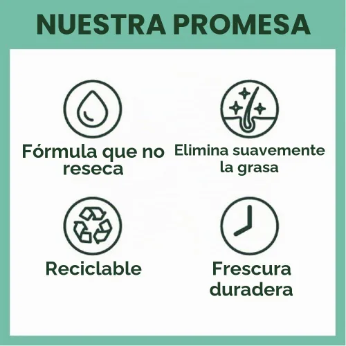 Vista 3 de Batiste Champú seco, fragancia de rubor, vegano y sin sulfato para el cabello entre lavados, aroma floral, unisex para adultos, 3.81 onzas