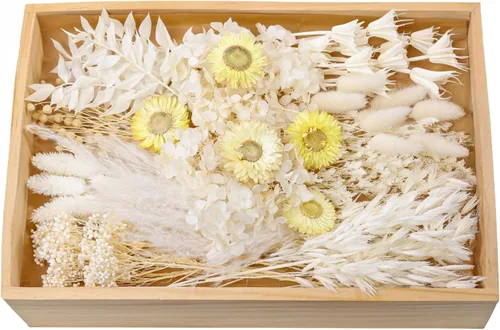 Vista 10 de xin's convey Kit de flores preservadas naturales de bricolaje, flores preservadas al por mayor para jarrones, flores preservadas con tallos, mini