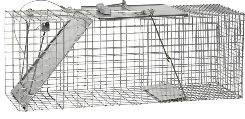 Vista 11 de Havahart 1085 - Trampa grande para animales vivos de 1 puerta, fácil de instalar, para armadillos, gatos, marmotas, ratas almizcleras, zorrillos