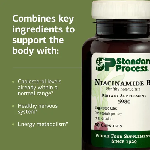Vista 4 de Proceso estándar Niacinamida B6 - Apoya el metabolismo energético y la salud del sistema nervioso - Ayuda al flujo sanguíneo y la salud digestiva