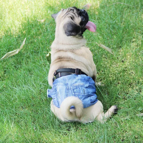 Vista 7 de Pañales para perro macho Wegreeco, lavables (paquete de 2), envoltorio para vientre lavable para perro macho, multicolor/fantasía (JEANS)