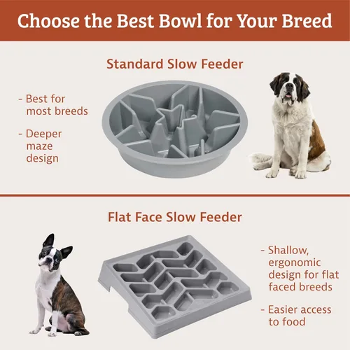 Vista 7 de Leash Boss Tazones de Alimentación Lenta para Perros - 1.5 Tazas, Cuenco de Comida para Perros Tipo Rompecabezas con Orificios de Alimentación, Se