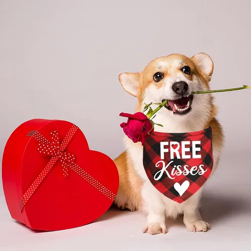 Vista 6 de Paquete de 2 bandanas para perro de San Valentín, bandanas para el día de San Valentín, bufanda, bandanas para el día de San Valentín, trajes