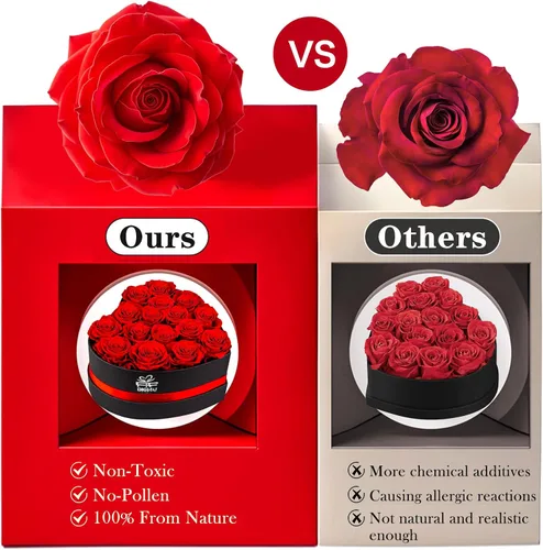 Vista 6 de Caja extra grande con forma de corazón de 16 rosas preservadas para siempre, con collar, regalos para el día de San Valentín para ella, novia