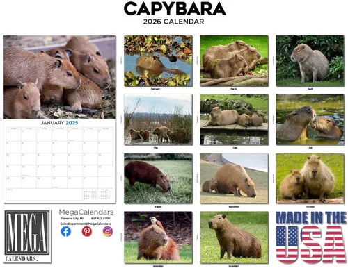 Vista 226 de Calendario de grises africanos 2025 2026 – Planificador mensual de pared de aves africanas – 12 x 18 pulgadas (abierto), calendario de pared
