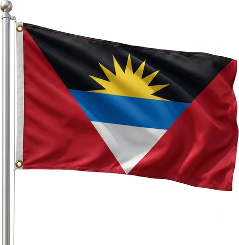 Vista 122 de DMSE - Bandera nacional beninesa beninesa de la República de África Occidental, 2 x 3 pies, 100 % poliéster, 100 % poliéster, resistente a los rayos