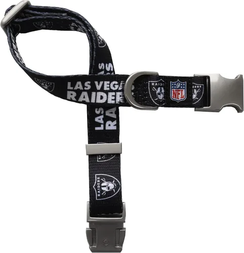 Vista 16 de Littlearth NFL Detroit Lions Pet Premium Collar, Team Color, Small 14-Color del