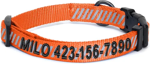 Vista 32 de Collar de entrenamiento reflectante para perros, de la marca Pawtitas, Negro