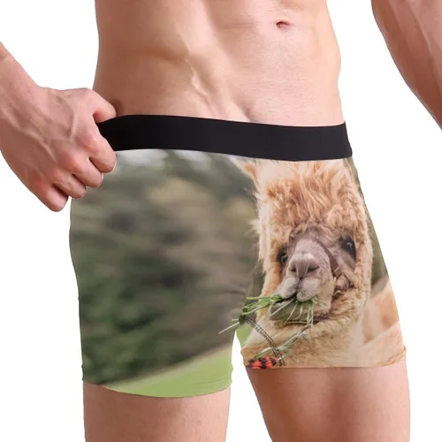 Vista 2 de ZZKKO Skull Llama - Calzoncillos tipo bóxer para hombre, transpirables, elásticos, con bolsa, tallas S-XXL