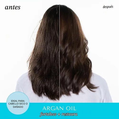 Vista 4 de HASK Champú reparador de aceite de argán, 12 onzas líquidas B00FY5QUT6