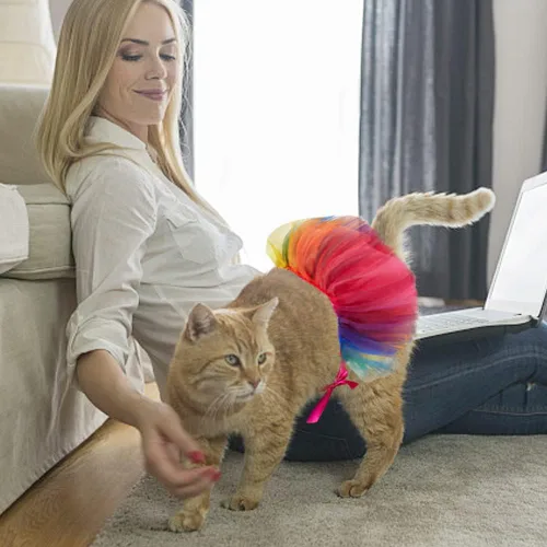 Vista 4 de Threetols Disfraz de arco iris para perro, vestido de princesa del orgullo navideño para gatos y perros, juego de tutú y collar para mascotas
