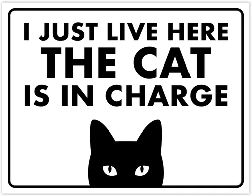 Vista 32 de Señal de Gato de 24 Horas de Vigilancia Felina de Premises Under 24 Hour - Cartel de gato divertido, metal, 8 x 12 pulgadas, letreros de gato