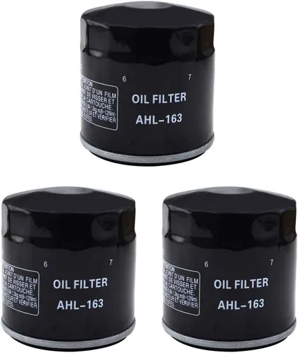 Vista 7 de AHL 163 - Filtro de aceite para BMW R850C Euro 850 2000 2001