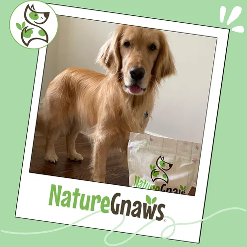 Vista 6 de Nature Gnaws Paquete variado de masticables para perros grandes, 12