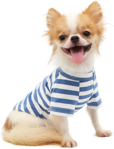 Vista 7 de LOPHIPETS Camiseta de perro 100% algodón para perros pequeños Taza de té Chihuahua Yorkie Ropa para cachorros - Azul/XXS