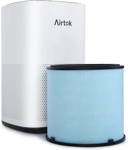 Vista 8 de AIRTOK Filtros de repuesto para purificador de aire AP1001, sistema de purificación de 5 capas, filtro HEPA verdadero H13, filtro de carbón activado