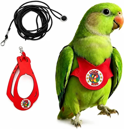 Vista 29 de Juego de arnés ajustable y correa para pájaros pequeños, apto para periquitos, conures, cacatúas, mejillas verdes, loros cuáqueros (verde, XS) 6350-6