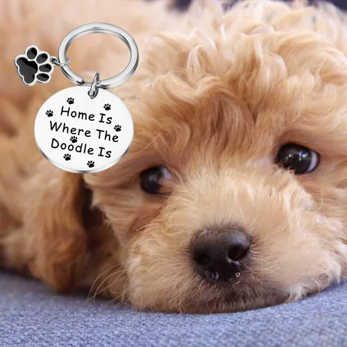 Vista 6 de PLITI Golden Caniche Regalos Perro Mamá Regalos Perro Papá Regalos Perro Regalo Perro Amante Regalo Mascota Padres Regalo
