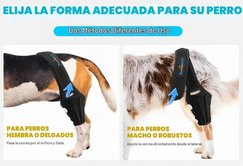 Vista 6 de Rodillera para Perro para Pata Trasera, Rodillera para Cuidado del Ligamento Cruzado para Perros, Soporte Extra ACL, Reduce el Dolor Articular