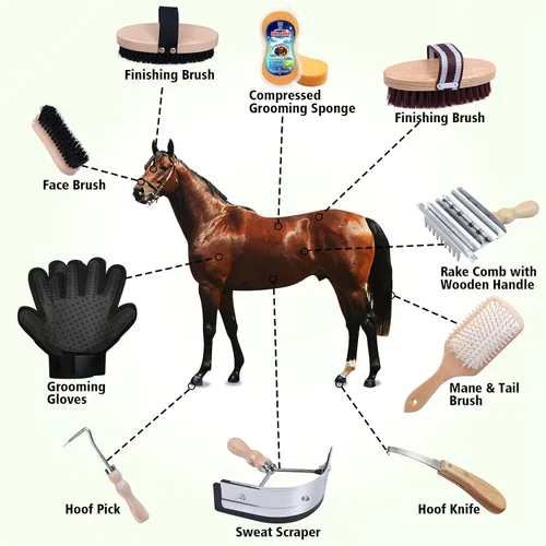 Vista 2 de Harrison Howard Kit de aseo de caballos, juego de 10 piezas de cepillos de madera con estuche de almacenamiento, suministros de sala de tachuelas