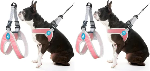 Vista 10 de Gooby Simple Step in III - Arnés para perro, verde, extra pequeño - Arnés para perros pequeños con chaqueta exterior resistente a los rasguños