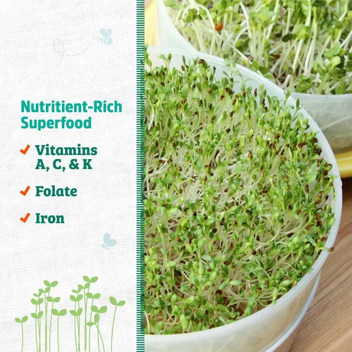 Vista 3 de Back to The Roots Semillas de alfalfa 100% orgánicas 1 libra sin transgénicos Densas en nutrientes, fáciles de cultivar, ricas en fibra