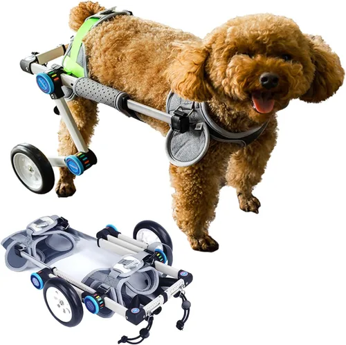 Vista 8 de Silla de ruedas para perros para patas traseras, carrito de silla de ruedas para perros, sillas de ruedas plegables para perros/asistencia