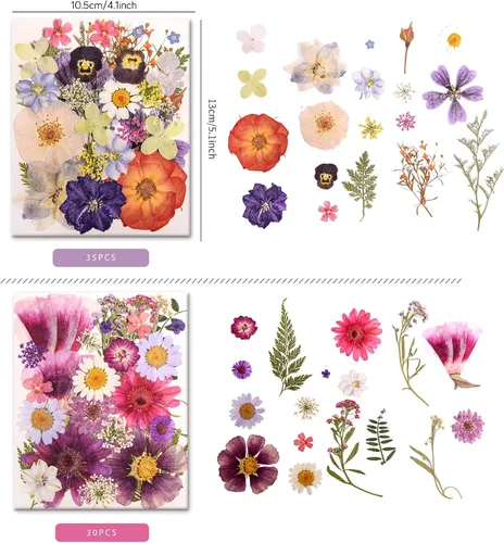 Vista 3 de 182 PCS Real Pressed Dried Flowers and Leaves for DIY Crafts Multicolor2