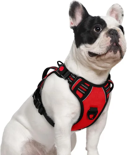 Vista 22 de rabbitgoo Arnés para perro de tamaño pequeño, arnés para mascotas sin tirones con mango acolchado suave, chaleco reflectante ajustable con 3