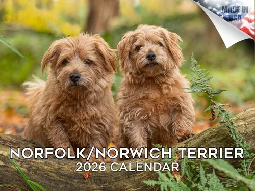 Vista 138 de Calendario de Lebrel Afgano 2025 2026, calendario mensual de pared de raza canina, 12" x 18" abierto, papel grueso sin traspaso, ideal para regalo