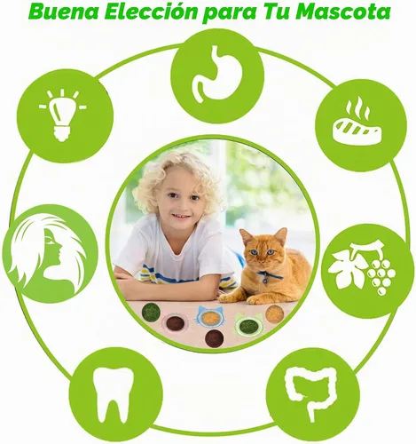 Vista 4 de Cat Toys - Juego de 4 juguetes de hierba gatera, bola de pared