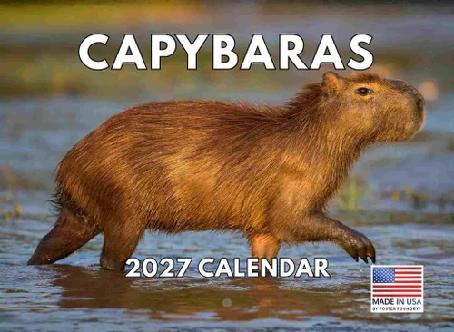 Vista 18 de Calendario mensual de pared de alpaca 2025 Fabricado en Estados Unidos