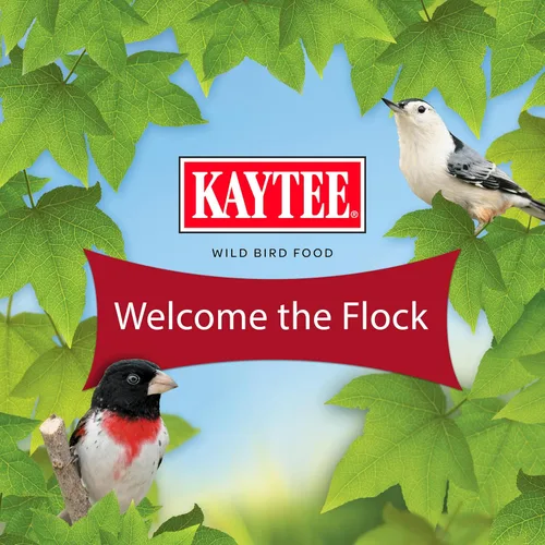 Vista 29 de Kaytee Wild Bird Mezcla de Alimento para Pinzones, 3 lb
