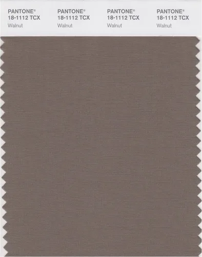 Vista 25 de PANTONE Tarjeta de muestra de color inteligente 18-1314X, bellota