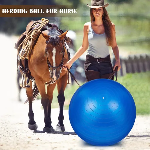 Vista 5 de Sotiff 2 pelotas de caballo de 40 pulgadas para jugar, caballo grande, equino, pastoreo, antiestallido, pelota de fútbol gigante para perro, bomba