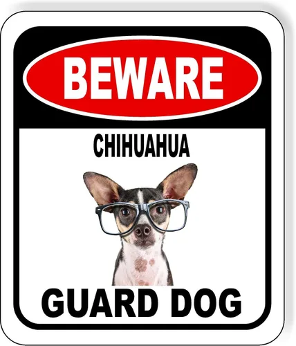 Vista 32 de BEWARE BASSETT HOUND GUARD DOG - Letrero compuesto de aluminio para exteriores, 8.5 x 10 pulgadas CUIDADO BASSETT HOUND GUARD PERRO