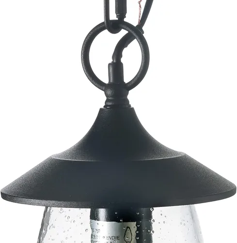 Vista 5 de LOG BARN Luces colgantes para exteriores, accesorio de porche en metal negro pintado con globo de vidrio transparente burbujeado, lámpara colgante