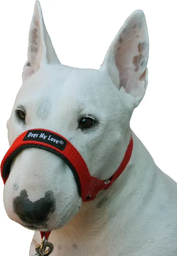 Vista 3 de Perro cabeza cuello halter rojo 6 Tamaños, Rojo