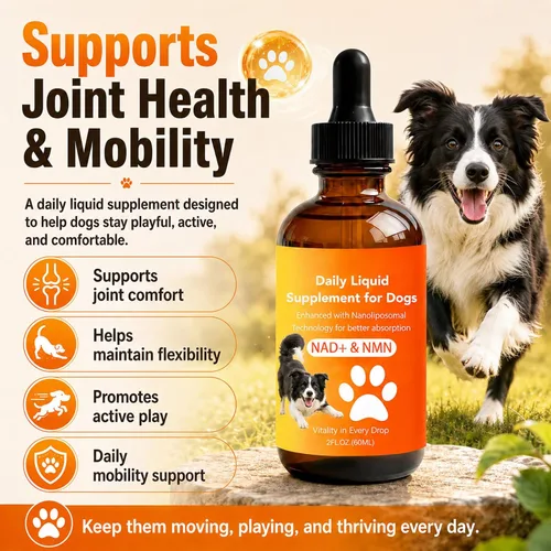 Vista 2 de Suplemento de longevidad para perros con NMN, NAD+, CoQ10 y resveratrol - Apoya la salud de las articulaciones, la vitalidad y el envejecimiento