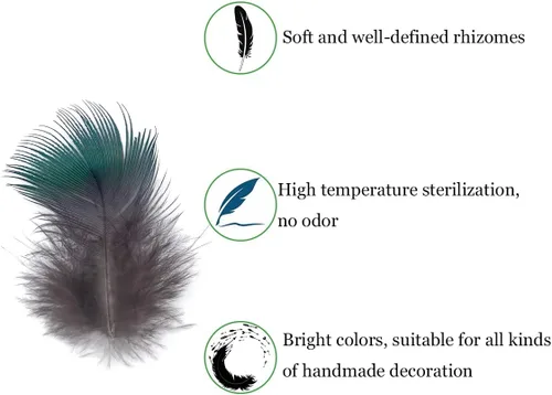 Vista 4 de 100 plumas de pavo real azul de 1.5 a 3 pulgadas pequeñas plumas naturales para atrapasueños artesanales