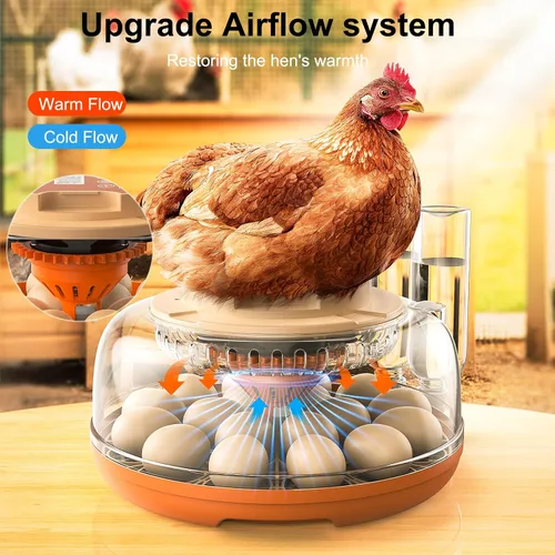 Vista 4 de Incubadora de 18 huevos, giro automático con control de temperatura y humedad, vela de huevos, vista 360 con ventilación de aire, recarga automática