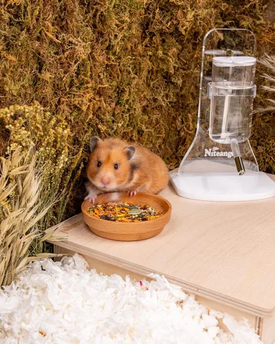 Vista 6 de Niteangel Nature Golden Hamster Food: 500g/17.63oz Dieta completa