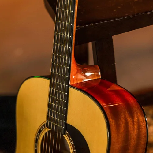 Vista 5 de Washburn Aprendiz D5 con funda, guitarra acústica